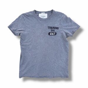 Y2K Abercrombie & Fitch Muscle T-Shirt Gray Distressed Size XXL (runs small)